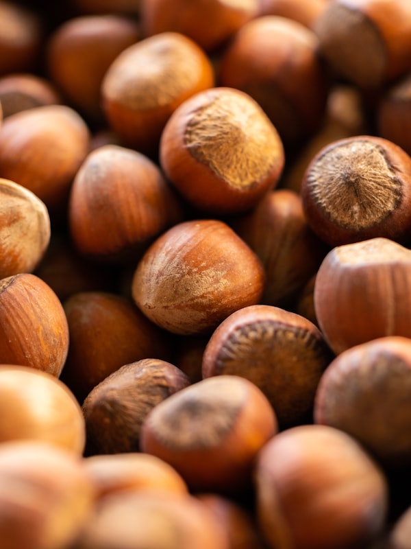 Noisette